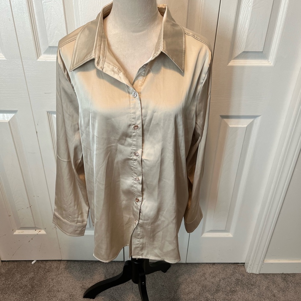 Papillon size XL button down shirt